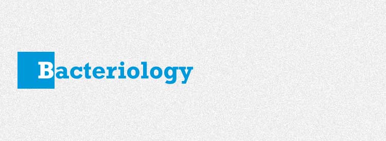  Bacteriology
