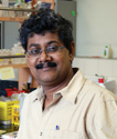 Dr. Santasabuj Das